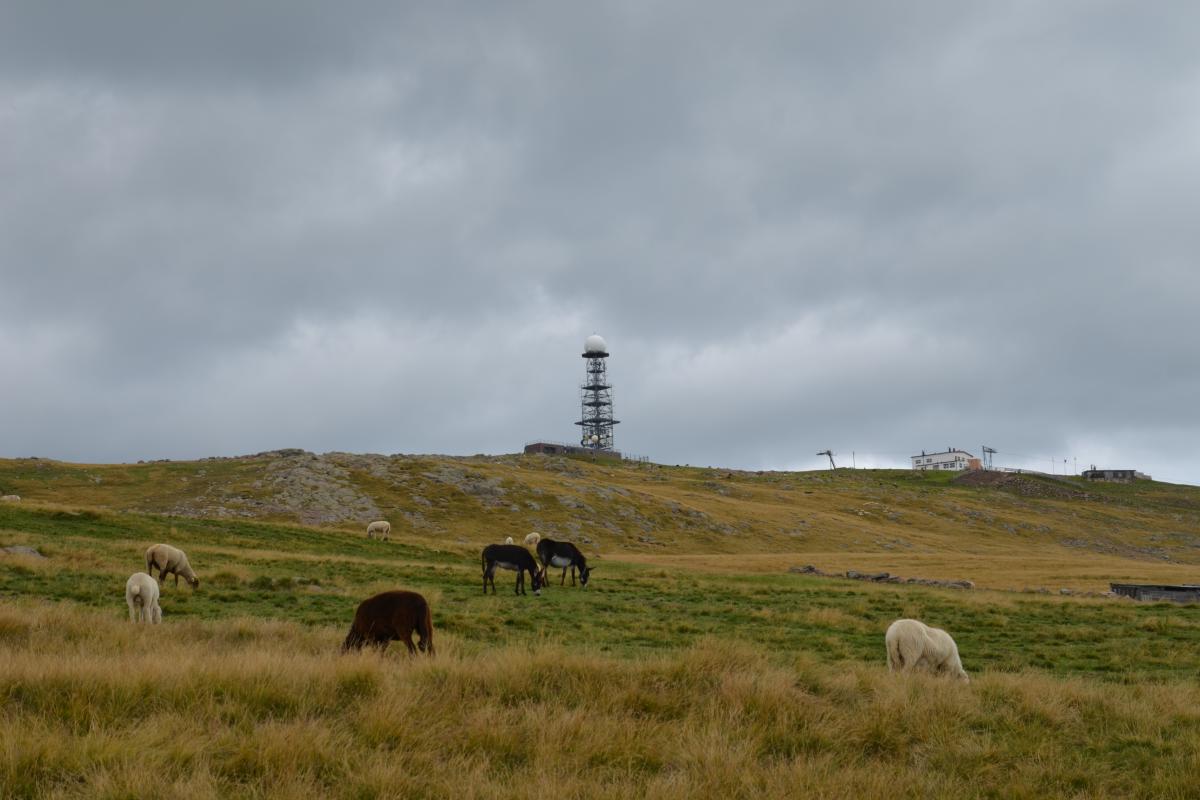 Platzer Alm 20.08.2022